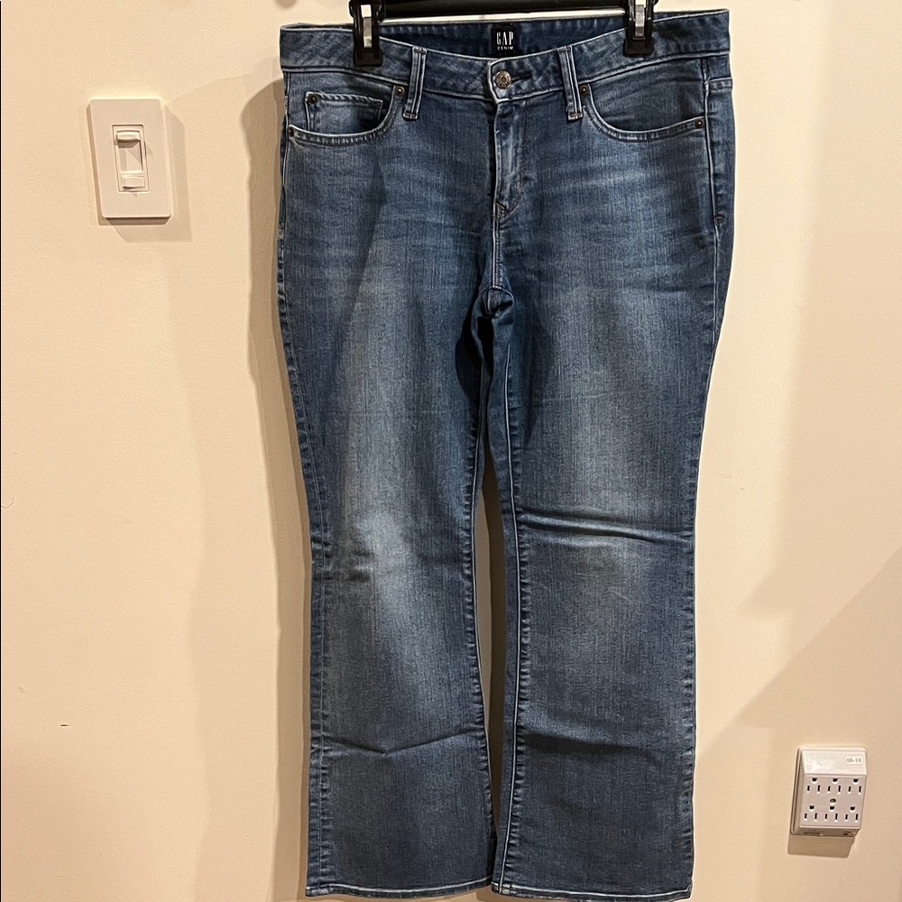 GAP Women's Long and Lean 1969